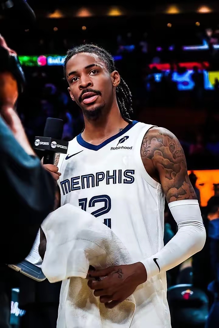 它们在活动 它们在活动