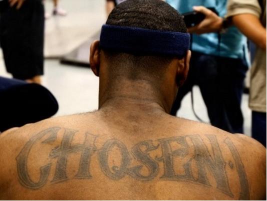 翠神不仅 翠神不仅