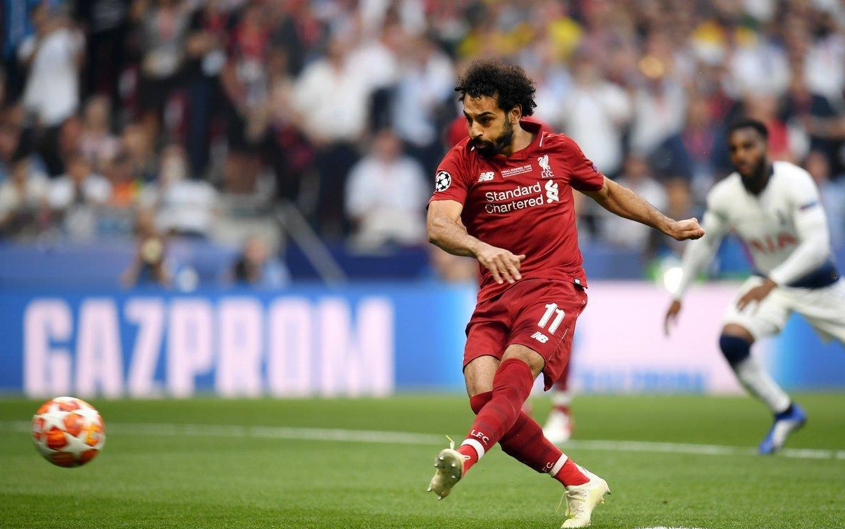 狗的预期在 狗的预期在